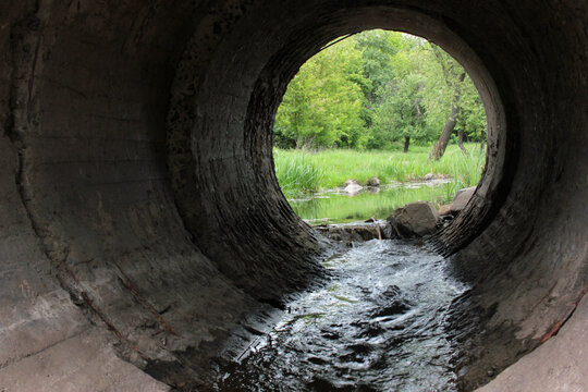 Exit from the concrete drainage tunnel pipe with a view to the forest. 
