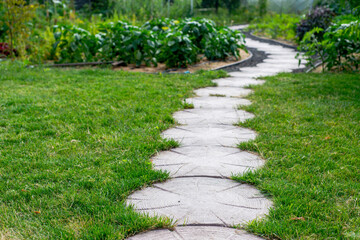 Fototapeta premium concrete stone path in vegetable garden