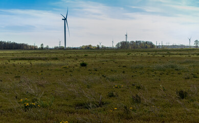 Fototapeta na wymiar Wind farm in field