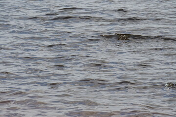 Natural Water waves for nature backgrounds