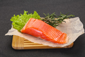 Piece of raw salmon