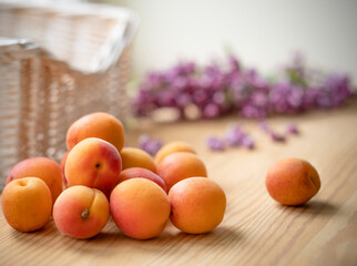 orange apricots on a light wood table against a background of white basket and purple flowers. Summer harvest of ripe fruit.