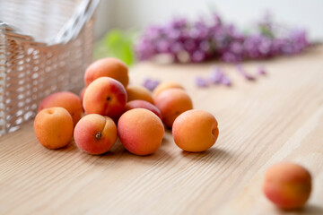 orange apricots on a light wood table against a background of white basket and purple flowers. Summer harvest of ripe fruit.