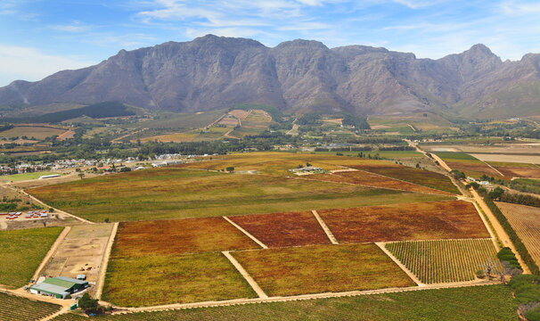 Aerial Photo Of Stellenbosch Vineyards And Mountains