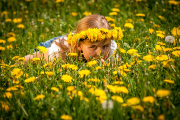 Naklejka na ściany i meble girl on a field of flowers