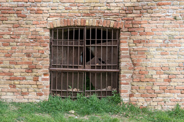 Fototapeta na wymiar Iron door with rusty bars