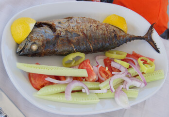 Grilled fish with fresh vegetables on the white plate