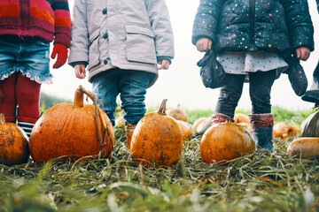 Three children's legs standing close to pumpkins in a field.
