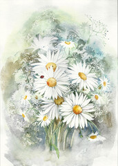 Large white daisies. Garden flowers. Botanical illustration.
Painting with watercolor flowers, hand painted. Handwork.

