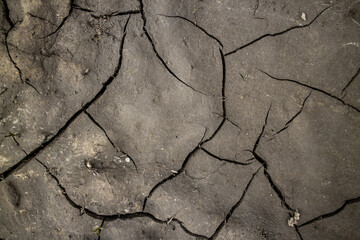 Large cracks in the ground. Abstract lines. Beautiful background. Nature. Photo in good quality.