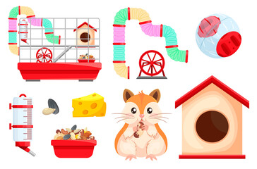 Naklejka premium Hamster habitat and accessories. Rodent cage two level with tube, tunnel, exercise wheel.