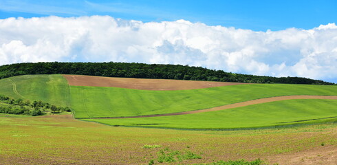 Obraz premium agricultural and farming landscape near town Brno in Czech republic 