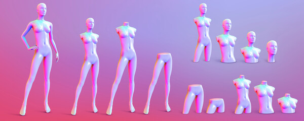 Female mannequin trendy iridescent neon color on a colorful background. Set of different parts of three quarter front view. Vector illustration.