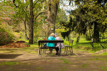 Senior women sit on a park bench with their backs. Old friends have a chat. 