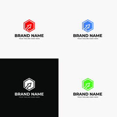 Hexagonal Financial Advisors Accounting and Fundraising Financial Logo Design Template Vector Illustration. Business growth chart flows icon design.