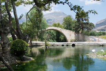 Fototapeta na wymiar Old Venetian stone Bridge and a small lake with ducks and swans