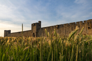 Vue sur les remparts et l'une des portes fortifiées de la ville médiévale d'Aigues-Mortes à...