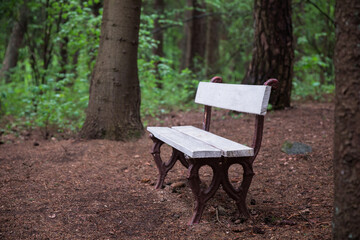 Naklejka premium bench in the park