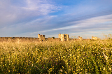 Vue sur les remparts et l'une des portes fortifiées de la ville médiévale d'Aigues-Mortes à...