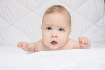Sweet little baby boy sitting on his tummy, white background
