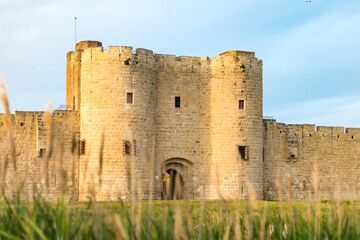 Vue sur les remparts et l'une des portes fortifi&eacute;es de la ville m&eacute;di&eacute;vale d'Aigues-Mortes &agrave; travers les hautes herbes (Occitanie, France)