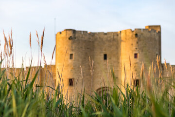 Vue sur les remparts et l'une des portes fortifiées de la ville médiévale d'Aigues-Mortes à travers les hautes herbes (Occitanie, France)