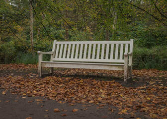 white wooden park bench in autumn