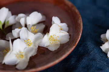 Fototapeta na wymiar White jasmine flowers, clay plate, on a dark blue textile background