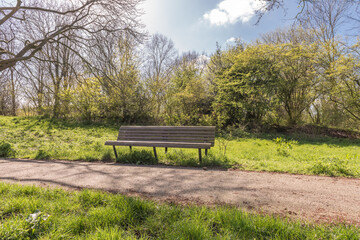 Obraz na płótnie Canvas bench in a park