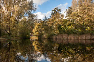 Fototapeta na wymiar public park with trees, a blue sky and a pond
