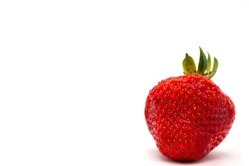 the juiciest strawberry in the world macro