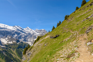 The Swiss Alps at Murren, Switzerland. Jungfrau Region. The valley of Lauterbrunnen from Interlaken.