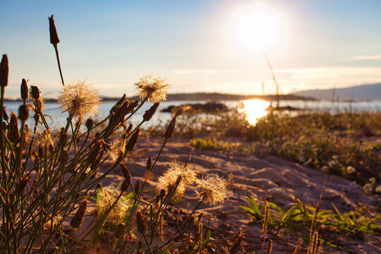 Vilanova de Arousa beach