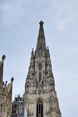 Fototapeta na wymiar St. Patrick's Cathedral Stephen's in Vienna