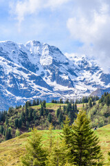 Fototapeta na wymiar View of beautiful landscape in the Alps with fresh green meadows and snow-capped mountain tops in the background on a sunny day with blue sky and clouds in springtime.