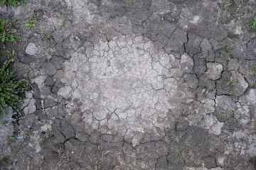 dry gray cracked earth with green grass. rough surface texture