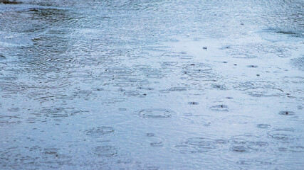 Rain drops frozen, rain drops background, wet