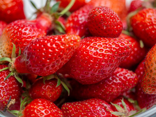 Harvest of red tasty strawberries closeup