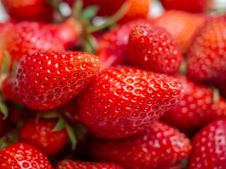 Harvest of red tasty strawberries closeup