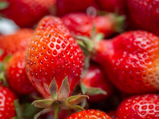 Harvest of red tasty strawberries closeup