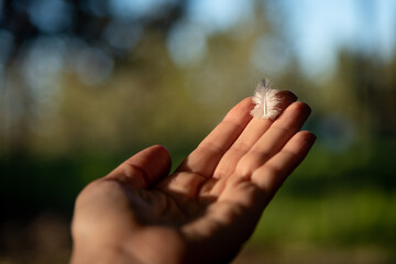 caucasian woman holding a feather to the blue sky