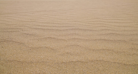 Fototapeta na wymiar Panoramic horizontal beach sand strip.