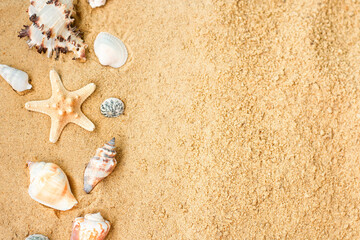 Vacation memories from beach, seashell and starfish. Summer beach background travel concept.
