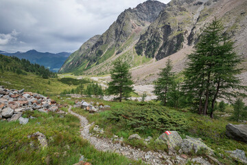 Hiking trail at Gradental mountain panorama in national park Hohe Tauern with view in valley Gradenmoos, overcast day, stones and trees, Austria.