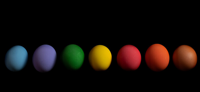 Collection of colorful easter egg chicken on black background