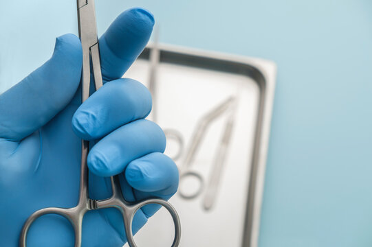 Person wearing latex glove holding forceps