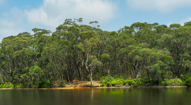 Wentworth Falls Lake at Blue Mountains National Park in New South Wales, Australia