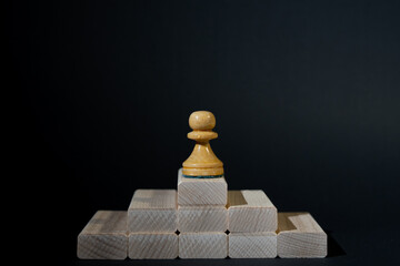 Chess winner concept, game concept, metaphor