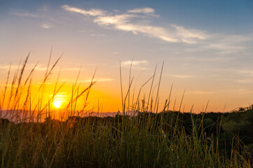 Fototapeta na wymiar Sunrise in fields of El Salvador