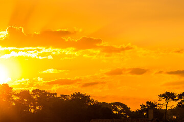 Fantasy for wallpaper design. Rural scenery. Outdoor landscape. Sunset light.